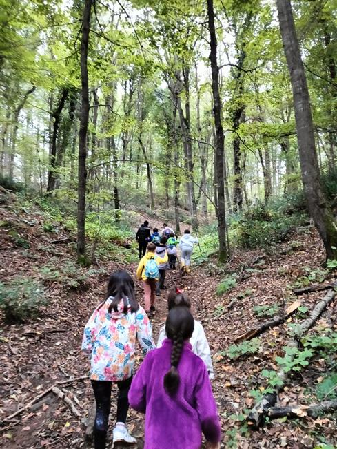 EBEVEYN VE ÇOCUKLU BELGRAD ORMANI DOĞA YÜRÜYÜŞÜ